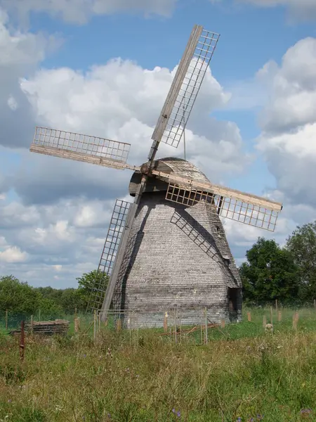 Pskov bölgesi. Yalnız bir yel değirmeni bir çayır üzerinde