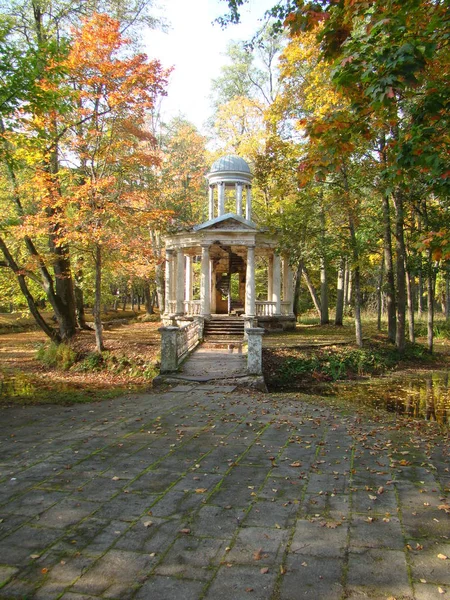 Nel Vecchio Parco Jurmala — Foto Stock