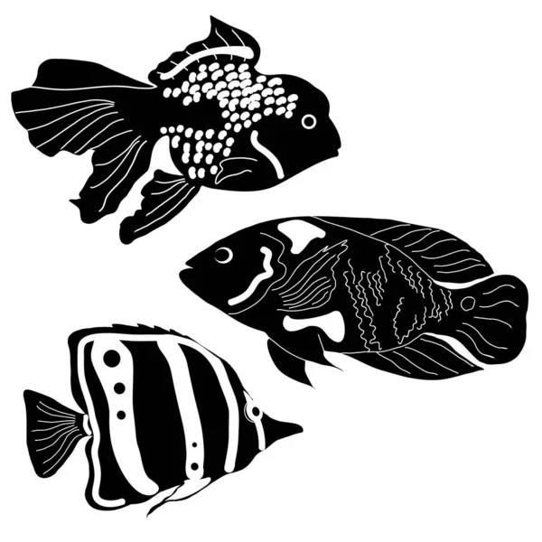 Vector Silueta Peces Diferentes Aislados Sobre Fondo Blanco — Archivo Imágenes Vectoriales