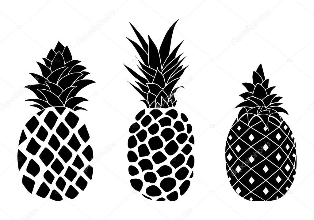 Vector pineapple fruit silhouettes isolated on white background