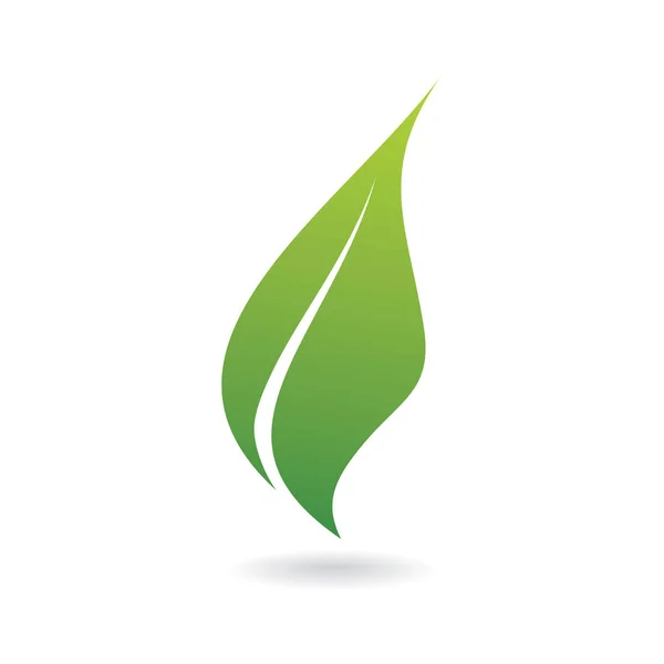Eco Zelený List Ilustrace Izolované — Stockový vektor