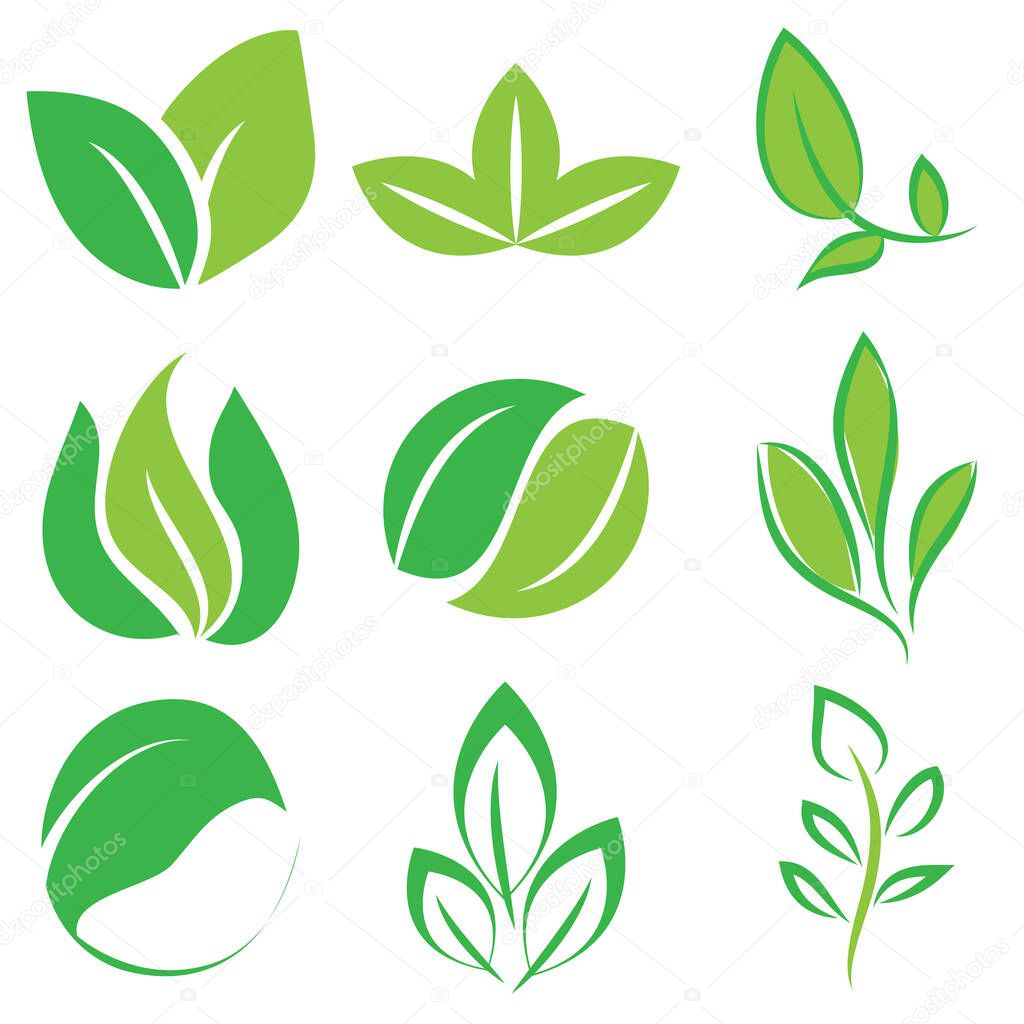 Leaf vector icon set illustration design