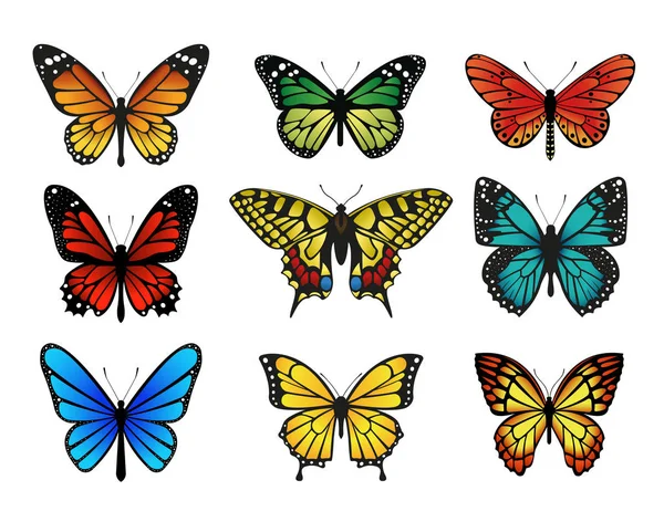 Kleurrijke vlinders Set. Vectorillustratie — Stockvector