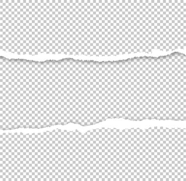 Metin alan gazeteyle sökük. Yırtık kağıt tasarımı. Vektör