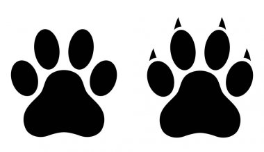 Köpek pençe baskı seti. Pençe simgesi. Vektör çizim.