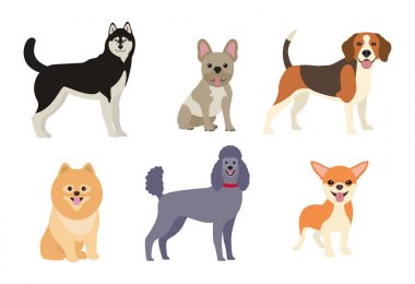Farklı köpekler koleksiyonu. Vektör çizim