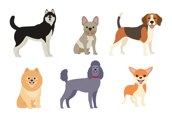 Farklı köpekler koleksiyonu. Vektör çizim