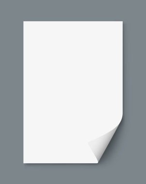 Boş kağıt sayfa şablonu. Vektör çizim
