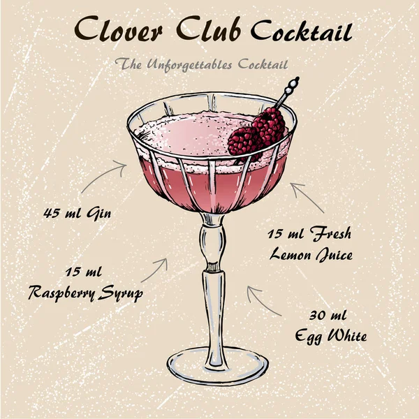 Clover Club cocktail recept vector met frambozen 2 — Stockvector