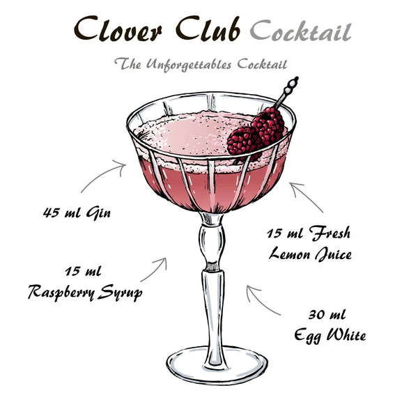 Clover Club Cocktail Rezeptvektor mit Himbeeren — Stockvektor