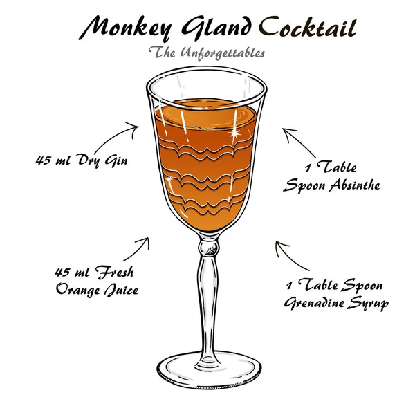 Monkey Gland cóctel alcohólico receta vector boceto — Vector de stock