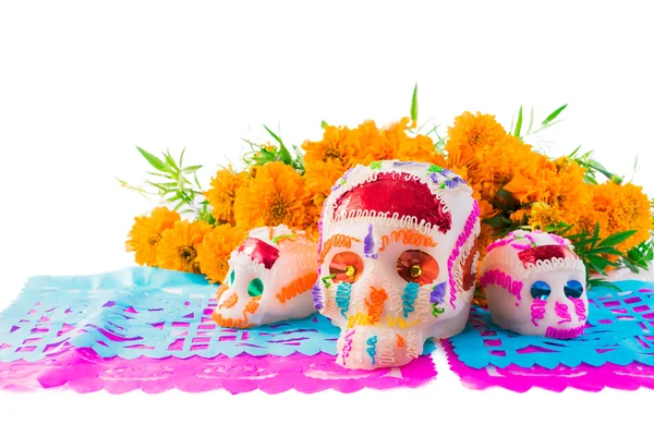 Sugar Skull with cempasuchil flowers — Stock Photo, Image