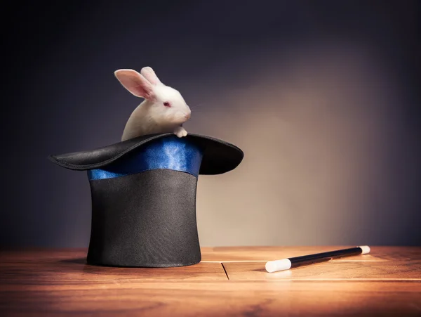 High contrast image of magician hat — Stock Photo, Image
