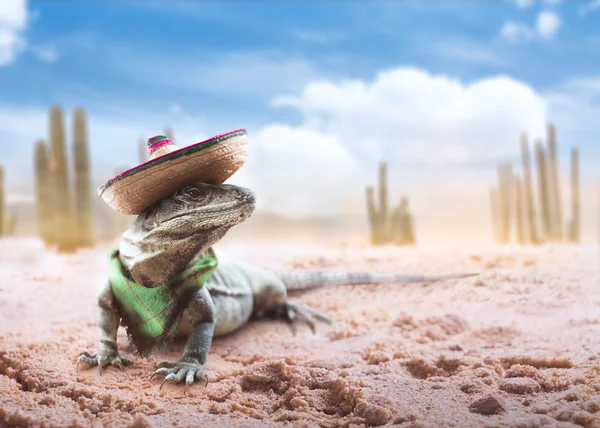 Chapéu mexicano "sombrero" em um "serape " — Fotografia de Stock