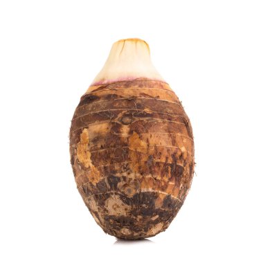 beyaz zemin üzerine Taro.