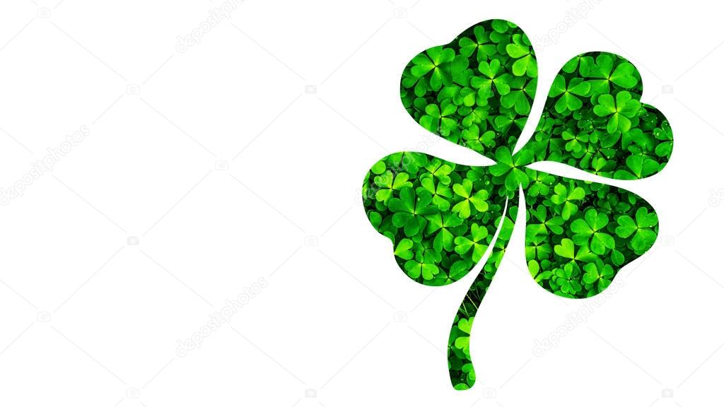 Beautiful St. Patrick's Day Shamrock or 4-Leaf Clover Outline with Small Clover Leaves Texture, Isolated on White Background with Clipping Path or Selection Path Included.