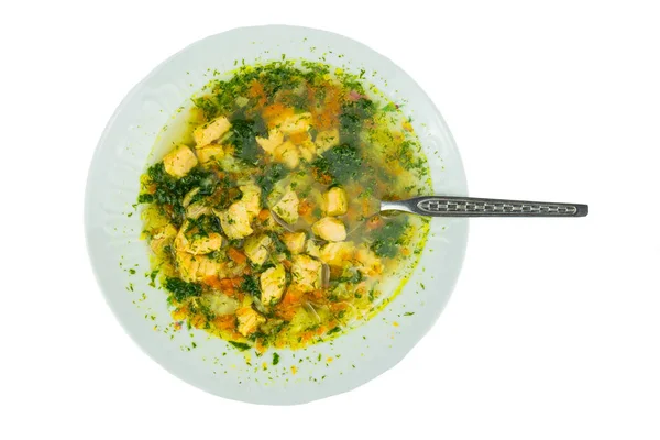 Sopa de peixe saudável salmão caseiro com camarões vegetal e panela — Fotografia de Stock