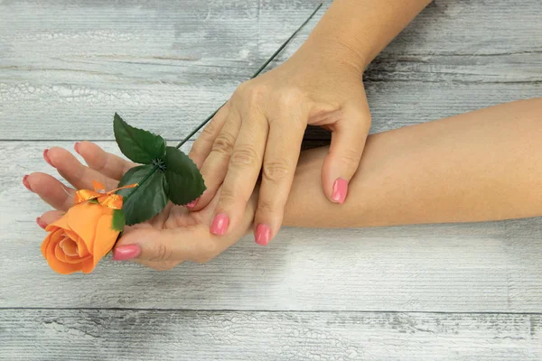 Manos de mujer de color rosa con manicura en las uñas y una rosa naranja se encuentra en la mano izquierda. El fondo es una mesa rústica brillante. Concepto belleza . —  Fotos de Stock