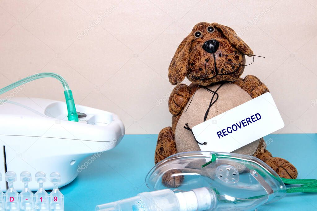 Coronavirus. Funny dog with a recovered tag a medical face mask or nebulizer for treatment of the respiratory tract, further ampoules and a inhaler device on a blue table over bright background.