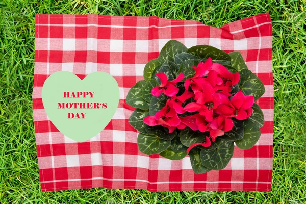 Muttertagsgrußkarte Dekorative Komposition Aus Rot Karierter Serviette Mit Frisch Blühenden — Stockfoto