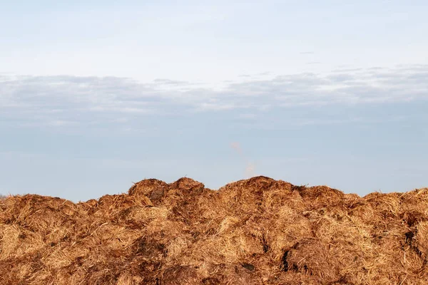 Closeup Pile Horse Dung Field Stables Nearby Horse Farm Front — Stock Photo, Image