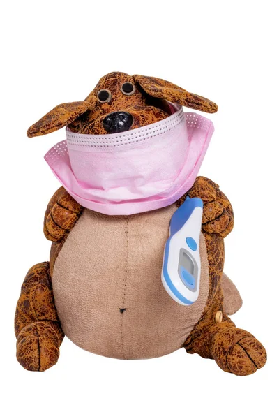Koncepcja Kwarantanny Koronawirusów Zabawny Pies Noszący Maskę Chirurgiczną Termometr Gorączkowy — Zdjęcie stockowe