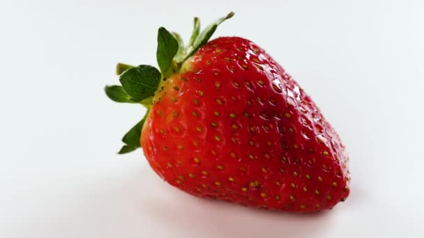 Fraise biologique fraîche et mûre tournée sur un fond blanc . — Video