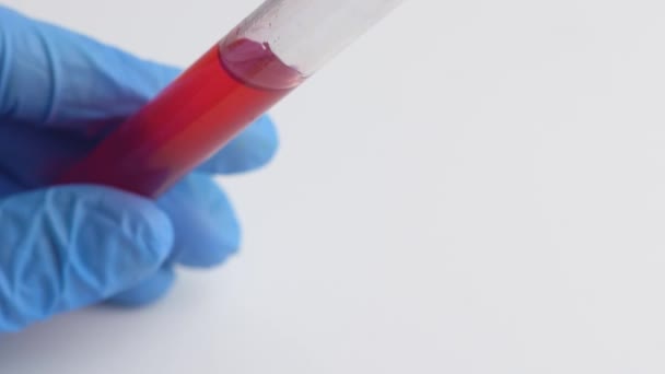 Hand in gloves holds a test tube with red liquid. — Stock Video
