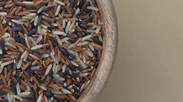 水稻的种类和颜色的多样性- -红、黑和荞麦. — 图库视频影像