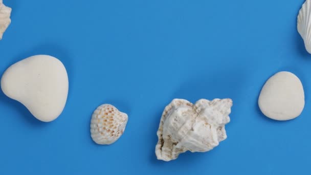 Sea shells and pebbles rotates on a blue background. — Stock Video