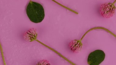 Çiçek deseni pembe arka planda izole edilmiş. Düz yatış, üst görünüm.