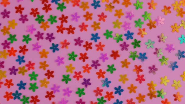 Texture of colorful flowers on a pink background. Floral pattern. — Stock Video