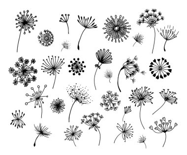 Elle çizilmiş karahindiba seti kartlar ve çıkartmalar için kullanılabilir. Soyut grafik karahindiba seti. Tasarım için dekoratif elementler, karahindibalar.