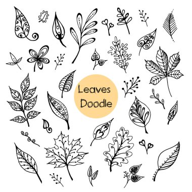 Yapraklar karalama yapıyor. El yapımı dekoratif elementler. Vektör illüstrasyon, dallar ve yapraklar. El çizimi çiçek unsurları, klasik botanik çizimler, robot resim, el çizimi bitkiler. 