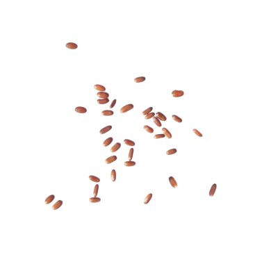 Beyaz arka plan üzerinde Asya bellflower (Codonopsis clematidea) tohumları