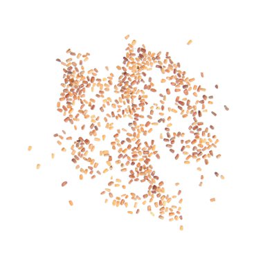 Ortak yüksükotu (Digitalis purpurea) beyaz arka plan üzerinde izole tohumları