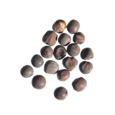 Beyaz arka plan üzerinde izole bezelye (Lathyrus odoratus) tohumları