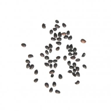 Doğu boynuzlu beyaz arka plan üzerinde izole haşhaş (Dicranostigma franchetianum) tohumları