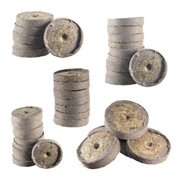 Beyaz arka plan üzerinde izole turba tablet kümesi. Lahanası bitki yetiştirme için turba briketler