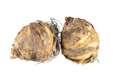 Beyaz arka plan üzerinde izole ampuller, alacalı ananas lily (Eucomis bicolor)