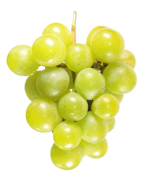 Група зеленого винограду ізольована на білому тлі. Виноград, вирощений без використання пестицидів та інших хімічних речовин — стокове фото