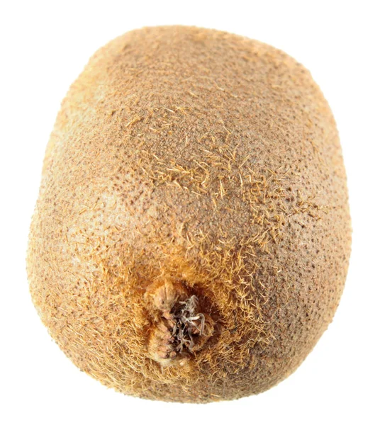Kiwifruit beyaz arkaplanda izole edildi — Stok fotoğraf