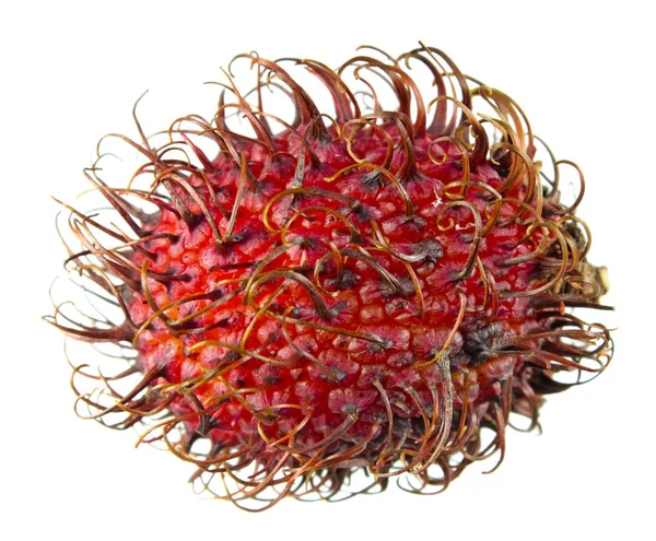 Rambután rojo sin pelar aislado sobre fondo blanco — Foto de Stock