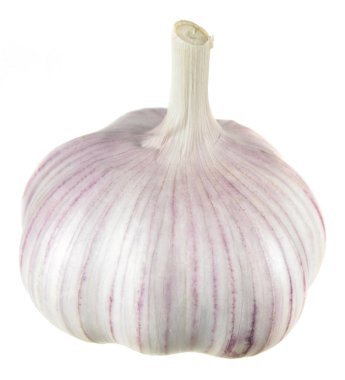 Sarımsak ampulü beyaz arkaplanda izole edildi