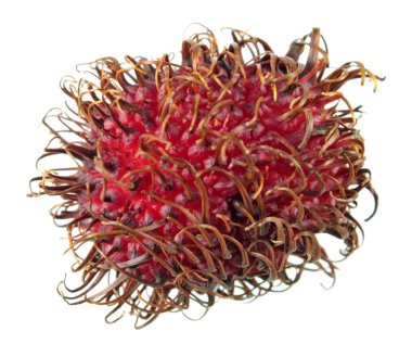 Beyaz arka plan üzerinde izole kırmızı soyulmamış rambutan meyve