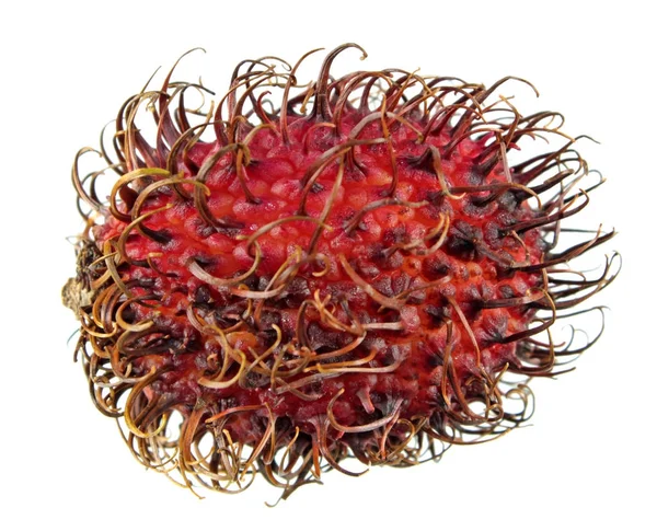 Rambután rojo sin pelar aislado sobre fondo blanco — Foto de Stock