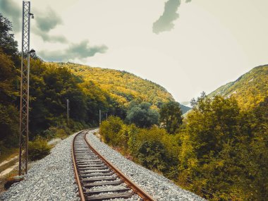 Ormanın içinden demiryolu geçer