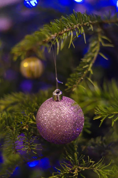 Close up van paarse kerstboom decoraties — Stockfoto