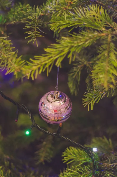 Close up de decorações de árvore de Natal roxo — Fotografia de Stock