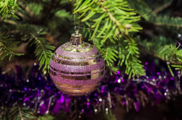 Close up de decorações de árvore de Natal roxo — Fotografia de Stock